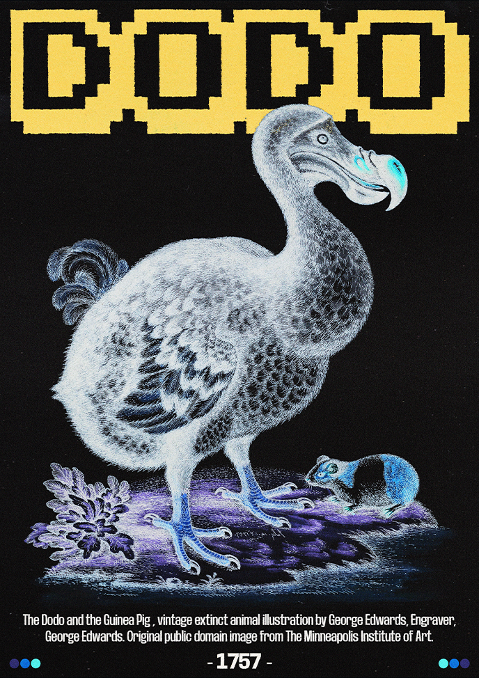 Dodo-Alternative-2