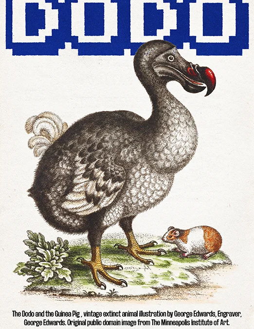 Dodo