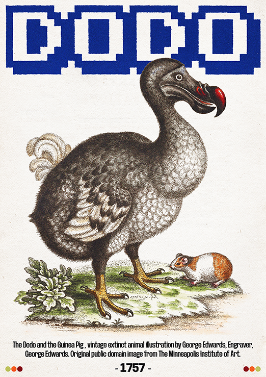 Dodo