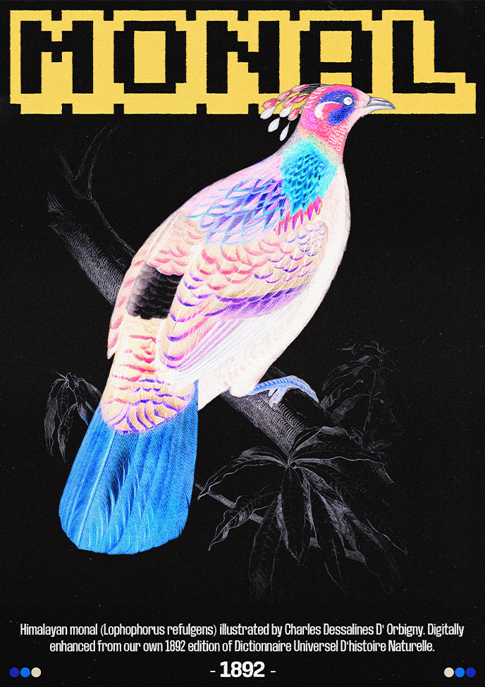 Monal-Alternate-2