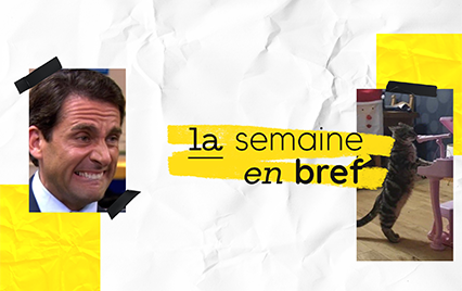 On' Media - Exemple bannière semaine en bref - Small