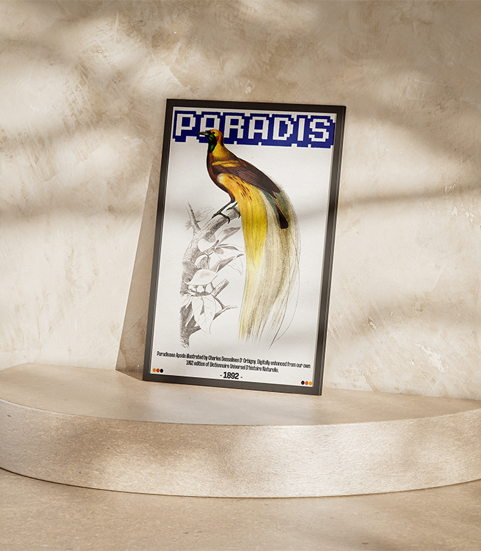Paradis-Mockup