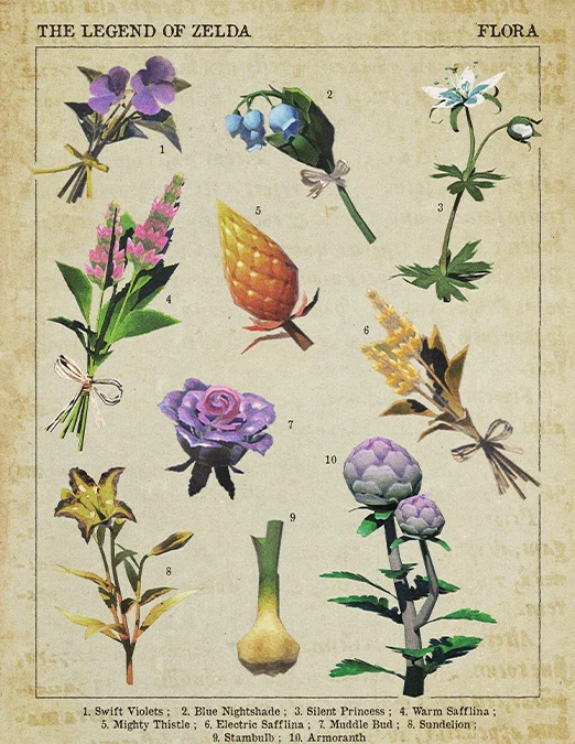 Zelda – Plants