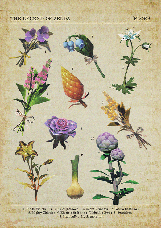 Le poster Zelda - Plants, est constitué d’éléments textuels et d'une sélection florale issu du jeu The Legend of Zelda. Le poster arbore un style ancien et encyclopédique.