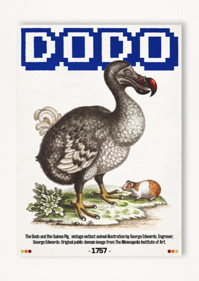 Le poster Dodo est constitué d’éléments textuels informatifs et d'éléments graphiques issus de ressources ornithologiques encyclopédiques libres de droit. Le poster arbore un style rétro, mélangeant modernité de la structure et de la typographie associé à des éléments encyclopédique rétro.