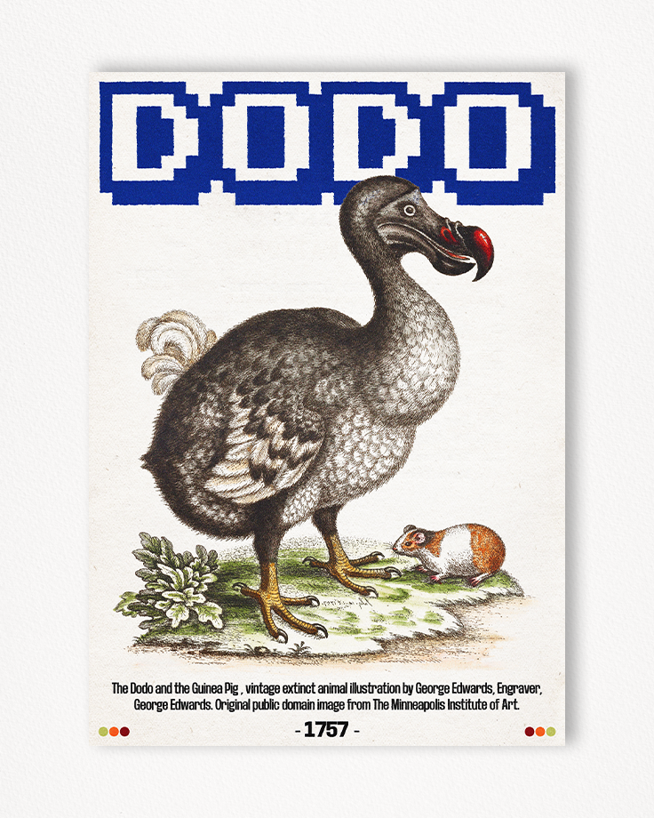 Le poster Dodo est constitué d’éléments textuels informatifs et d'éléments graphiques issus de ressources ornithologiques encyclopédiques libres de droit. Le poster arbore un style rétro, mélangeant modernité de la structure et de la typographie associé à des éléments encyclopédique rétro.