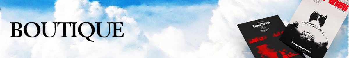 Le poster représente le Onzième Docteur de la série Doctor Who (2010 à 2014) interpréter par Matt Smith. On y retrouves aussi l'iconique TARDIS. Le tout dans un style rétro comic book.