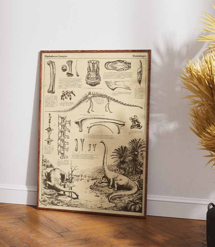 Le poster Diplodocus Encyclopedia mis en situation réel à travers un mockup esthétique.