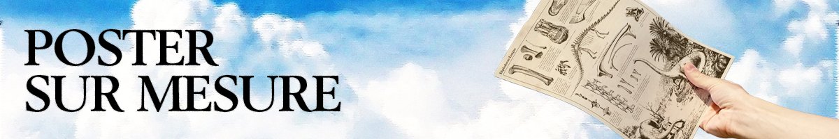 Le poster représente le Onzième Docteur de la série Doctor Who (2010 à 2014) interpréter par Matt Smith. On y retrouves aussi l'iconique TARDIS. Le tout dans un style rétro comic book.