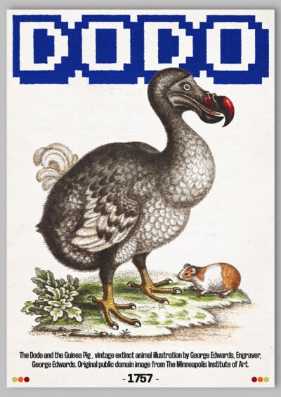 Le poster Dodo est constitué d’éléments textuels informatifs et d'éléments graphiques issus de ressources ornithologiques encyclopédiques libres de droit. Le poster arbore un style rétro, mélangeant modernité de la structure et de la typographie associé à des éléments encyclopédique rétro.