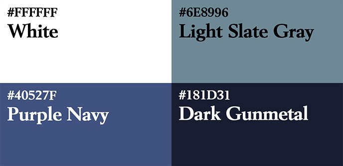 Liste des couleurs utilisés dans la marque fictive Amazing Revolve.